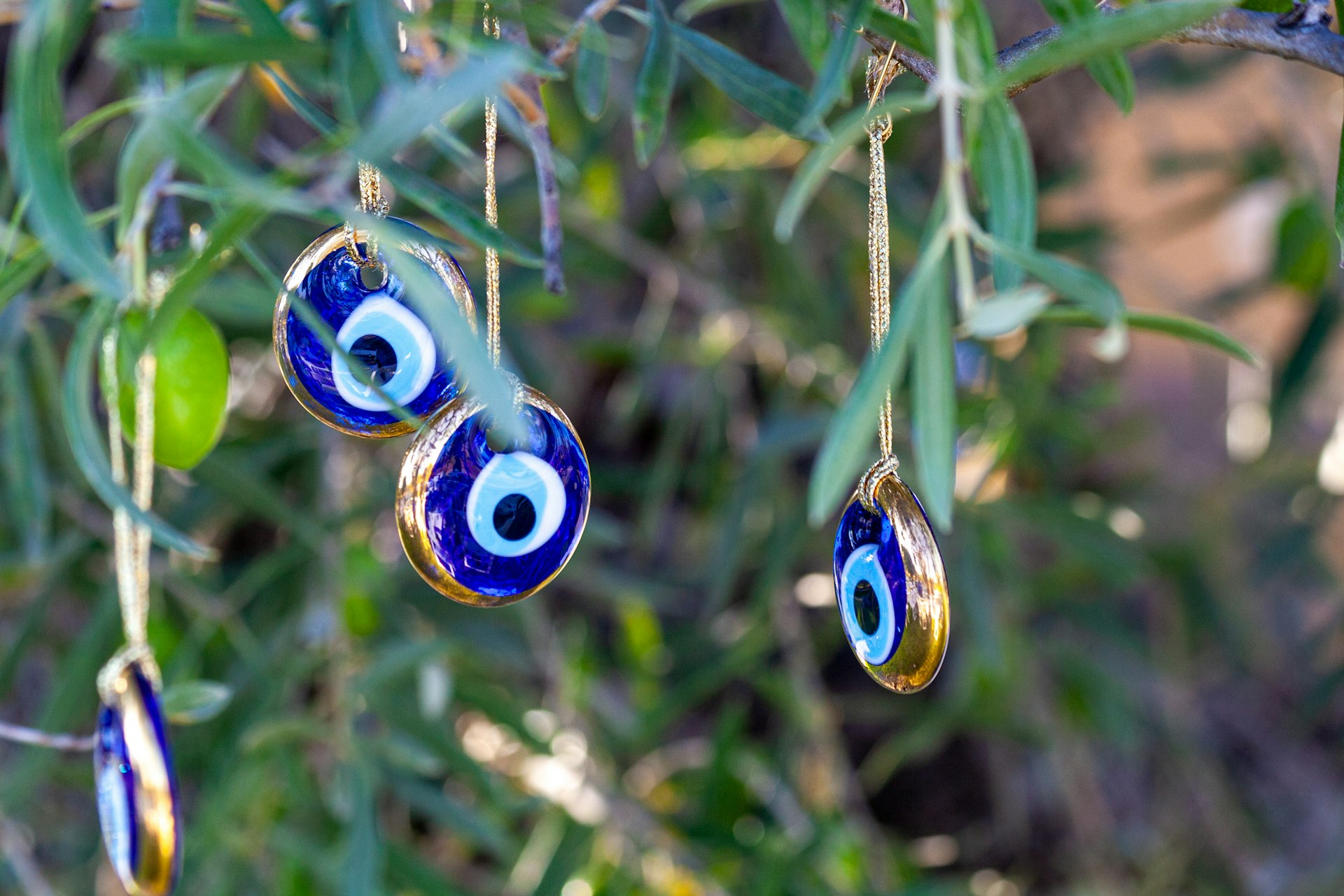a close up of a tree with ornaments hanging from it